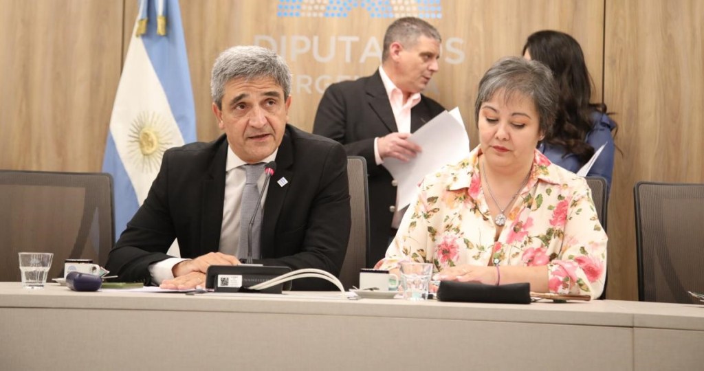 Yedlin asumió en Diputados y pidió dejar de lado la grieta en temas&nbsp;sociales