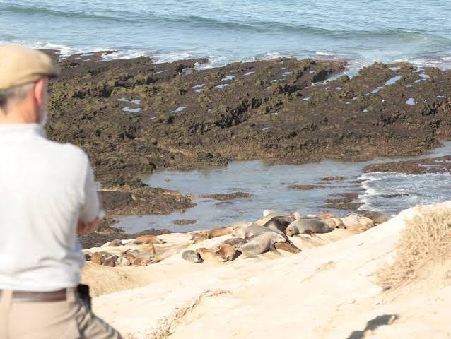 Ballenas a metros de la orilla: la estancia Las Charas en Valdés abre al turismo después de un siglo